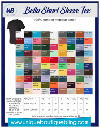 Brown County Public Health Shirt - Center Colored Logo