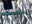 Navy Premium Vienna
